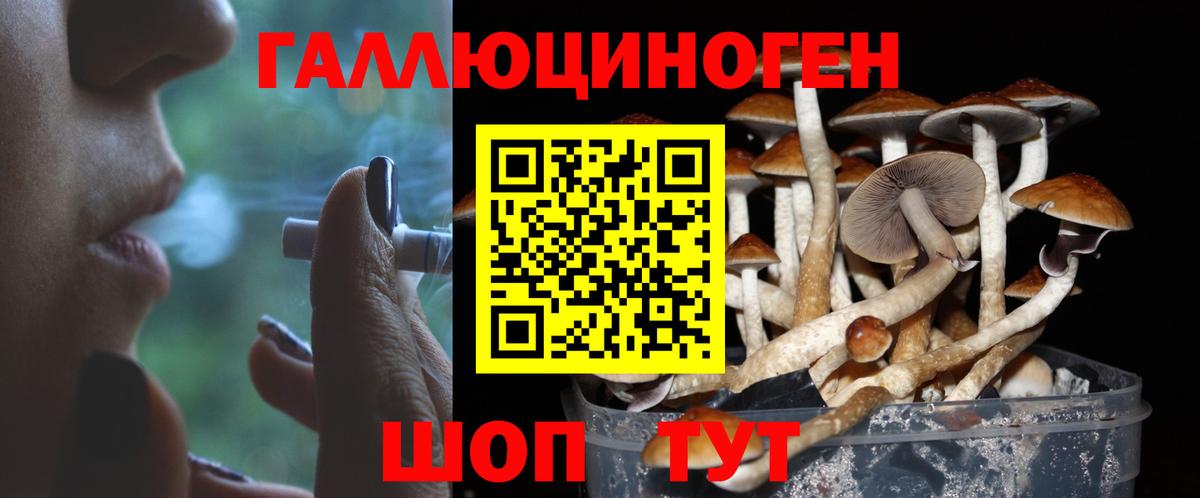 Кумертау  Псилоцибиновые грибы прущие грибы  купить наркотики сайты  Вход с VPN 